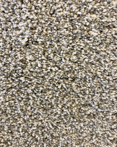Colorful Mix II 918 Textured Carpet