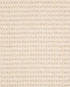 Abbeys Road Pattern Pet Friendly Carpet