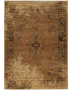 Andorra 6845d Gold/Brown Area Rug