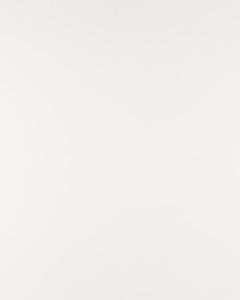 Arctic White Quartz Countertop