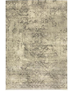 Astor 1806q Beige/Grey Area Rug