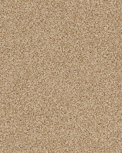 Bali Nylon Textured 48oz Carpet