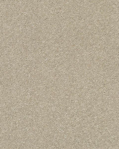 Basic Rules 58oz Textured Pet Friendly Carpet