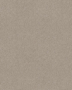 Bountiful Beauty Textured Nylon 43oz Carpet