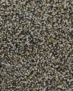 Bright Charisma SmartStrand Textured Carpet