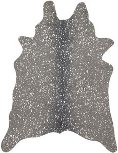 Bryce BZ-03 Graphite/Silver Area Rug