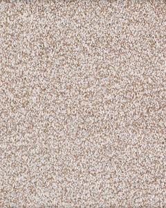 Calm Retreat Kashmere Nylon Textured Carpet