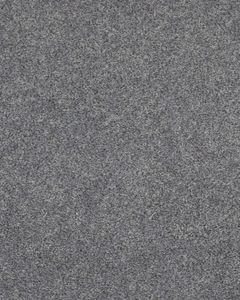 Calm Serenity II Textured 58oz Carpet