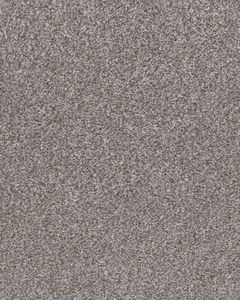 Calm Simplicity I Textured 43oz Carpet