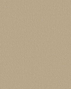 Canvas Comfort Textured Nylon 43oz Carpet