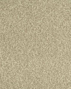 Cherished Tradition Bare Necessities Kashmere Carpet