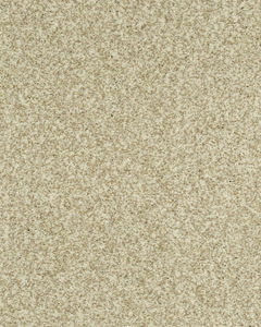 Cherished Tradition Haven Kashmere Carpet