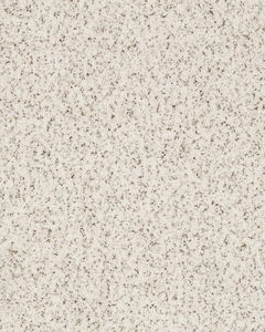 Riverwalk Textured Carpet
