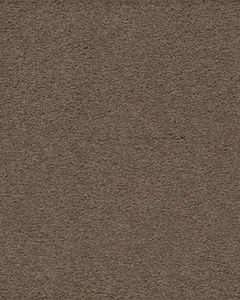 Classical Approach SmartStrand 70oz Carpet