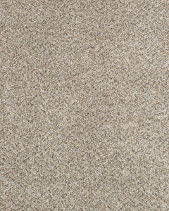 Claws and Effect II 58oz Pet Friendly Carpet