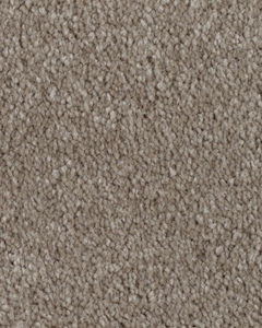 Clever Fashion II SmartStrand Textured Carpet
