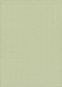 Cottages Bungalow Green Area Rug