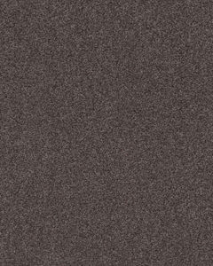Cozie Retreat II Textured Nylon 68oz Carpet