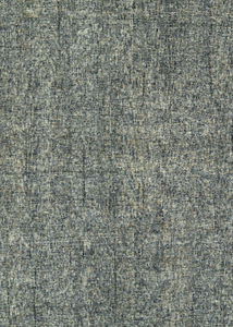 Calisa CS5 Lakeview Area Rug
