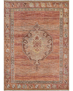 Desi Udaipur Rust Area Rug