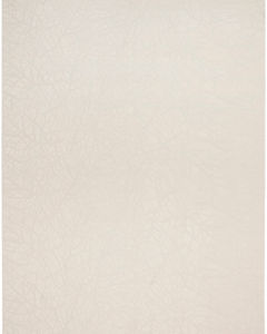 Desire DSR09 Beige Area Rug
