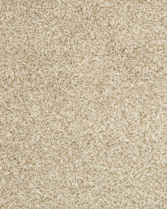Diffurent Choice I 32oz Pet Friendly Carpet