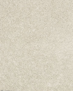 Diffurent Choice II 45oz Pet Friendly Carpet