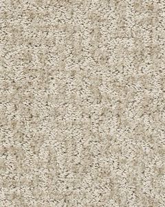 Emergence Patterned Pet Friendly 39oz Carpet