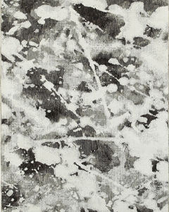 Evolution 8035b Charcoal/White Area Rug