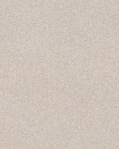 Expertise Textured 48oz Pet Friendly Carpet