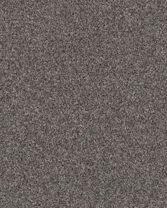 Expertise Sentimental 48.7oz Textured Carpet