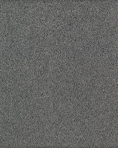 Fashion Culture Textured SmartStrand Carpet