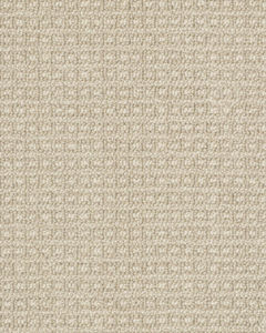 Fetch Pet Friendly Nylon 31oz Pattern Carpet
