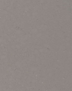 Fossil Gray Quartz Countertop