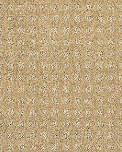 Fuji Nylon Patterned 34oz Carpet