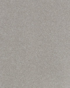 Impressive Shades Textured 50oz Carpet