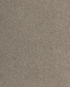 Luxurious Hues Textured SmartStrand 55oz Carpet