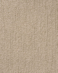 True North Patterned Nylon Blend Carpet