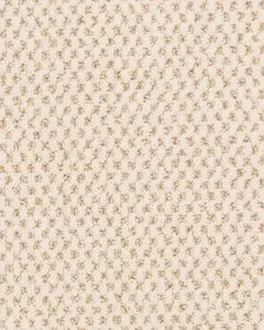 Timeless Effects Patterned 45oz SmartStrand Carpet