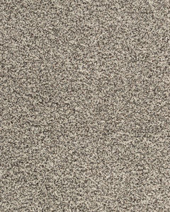 Candor SmartStrand Textured 43oz Carpet