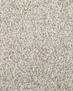 Ravello Textured 55oz SmartStrand Carpet