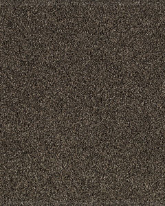 Gentle Quality Kashmere Nylon Carpet