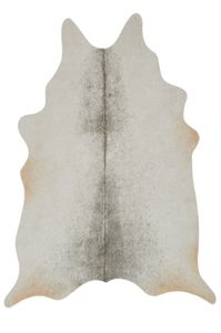 Grand Canyon GC-15 Silver/Grey Area Rug