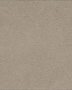 Hypnotic Attraction SmartStrand Carpet