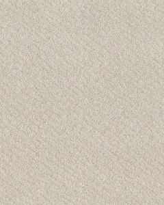 In Style Patterned 34oz Carpet
