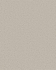 Intricate Trace Pet Friendly 43oz Carpet
