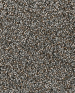 Jackson Hole I Textured 42oz Carpet