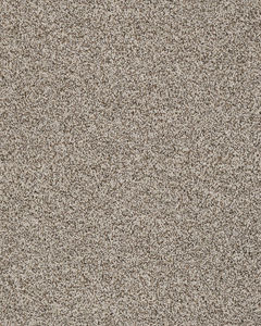 Artisan Elements Kashmere Nylon Textured Carpet