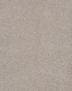 Lavish Attraction Textured Carpet