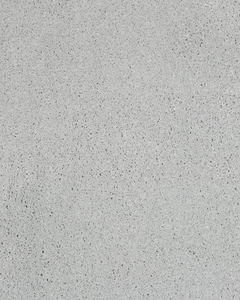 Impressive Character SmartStrand Triexta Carpet
